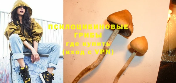 дмт Балахна