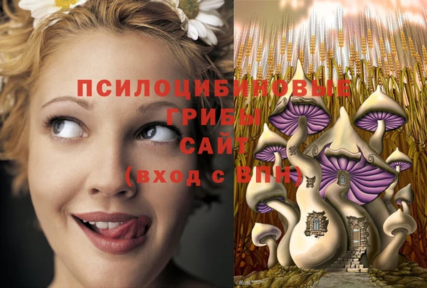 не бодяженный Баксан