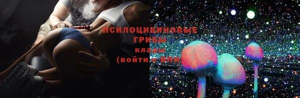 дмт Балахна