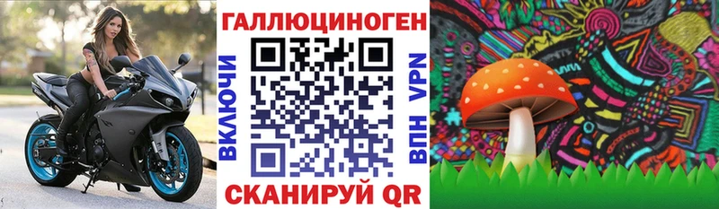 сколько стоит мега ССЫЛКА Галлюциногенные грибы MAGIC MUSHROOMS Барыш