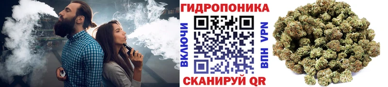 darknet клад  ссылка на мегу tor  Барыш  Каннабис OG Kush 